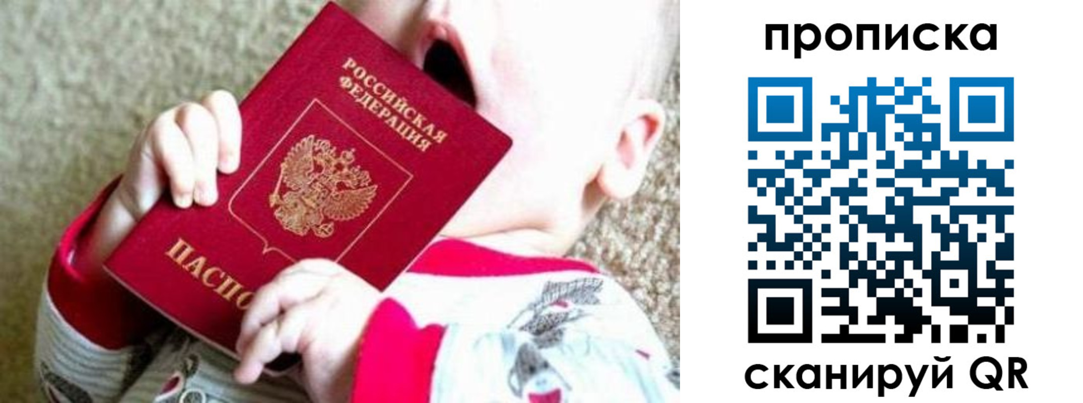 прописка законно в Дрезне